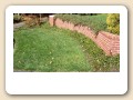 photo (13)