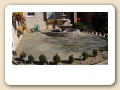 photo (2)